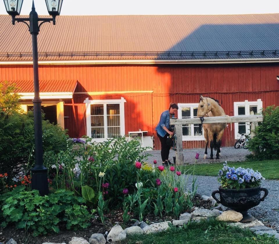 Scenic Small Guesthouse On Horse Farm By The Lake Frösö Eksteriør bilde